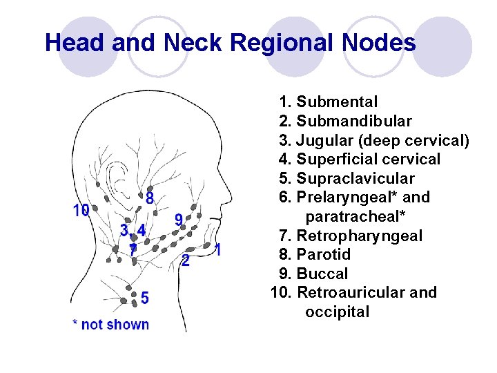 Head and Neck Regional Nodes 1. Submental 2. Submandibular 3. Jugular (deep cervical) 4.