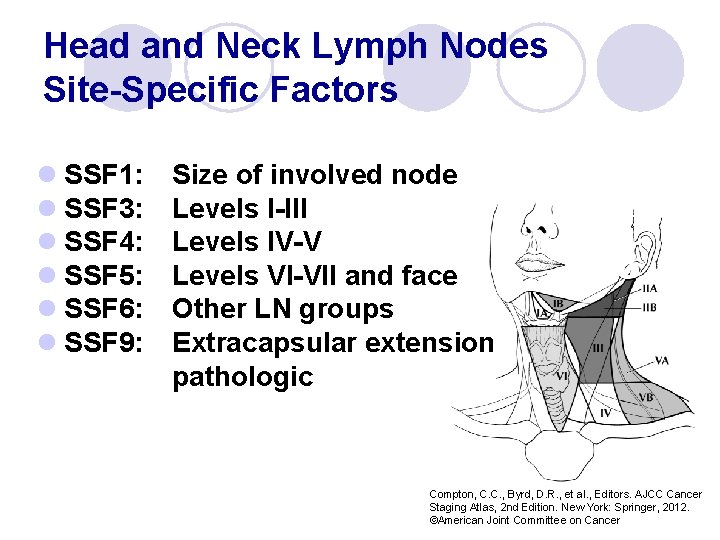 Head and Neck Lymph Nodes Site-Specific Factors l SSF 1: l SSF 3: l