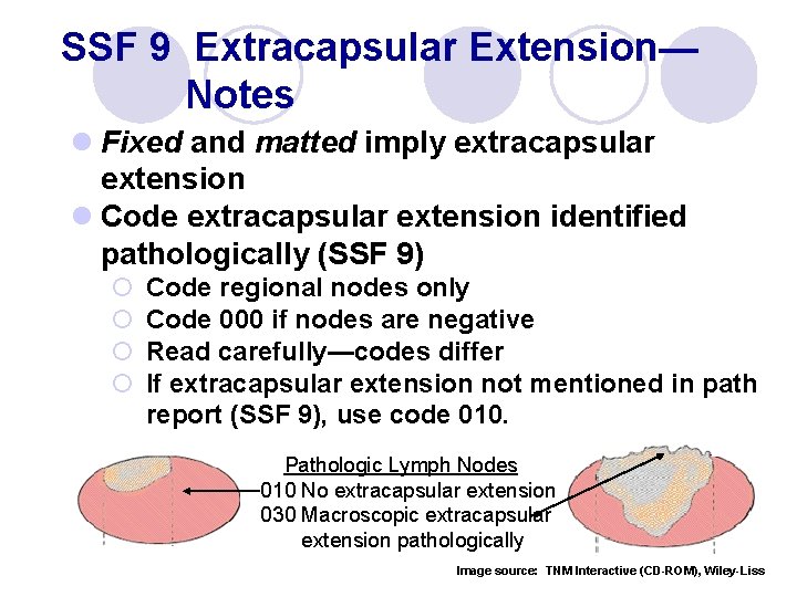 SSF 9 Extracapsular Extension— Notes l Fixed and matted imply extracapsular extension l Code