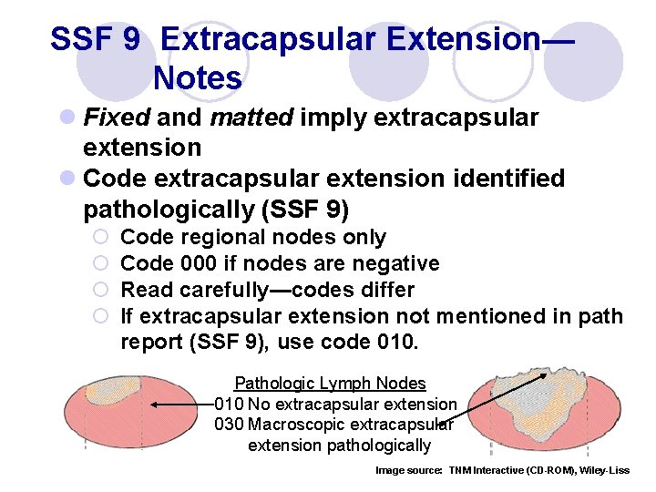 SSF 9 Extracapsular Extension— Notes l Fixed and matted imply extracapsular extension l Code