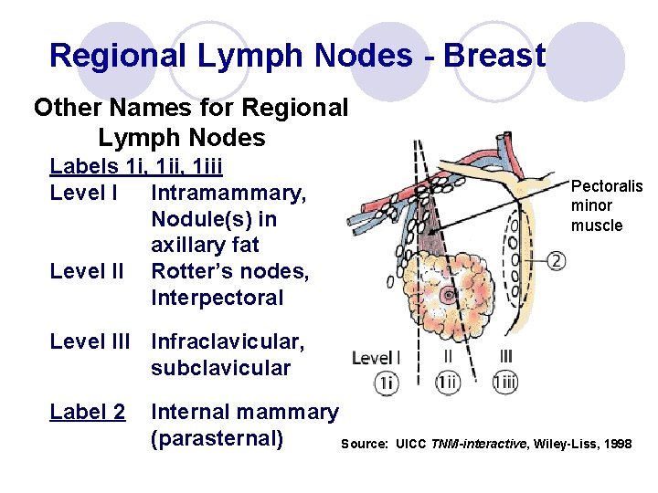 Regional Lymph Nodes - Breast Other Names for Regional Lymph Nodes Labels 1 i,