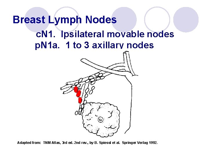 Breast Lymph Nodes c. N 1. Ipsilateral movable nodes p. N 1 a. 1