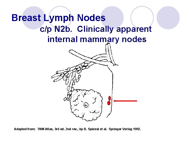 Breast Lymph Nodes c/p N 2 b. Clinically apparent internal mammary nodes Adapted from:
