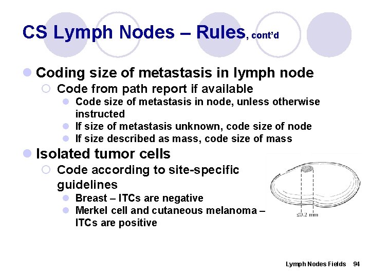 CS Lymph Nodes – Rules, cont’d l Coding size of metastasis in lymph node