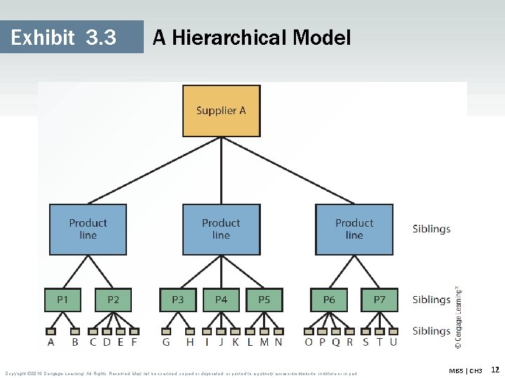 Exhibit 3. 3 A Hierarchical Model Copyright © 2016 Cengage Learning. All Rights Reserved. Exhibit 3. 3 A Hierarchical Model Copyright © 2016 Cengage Learning. All Rights Reserved.