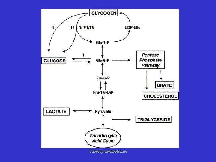 Choroby metaboliczne 