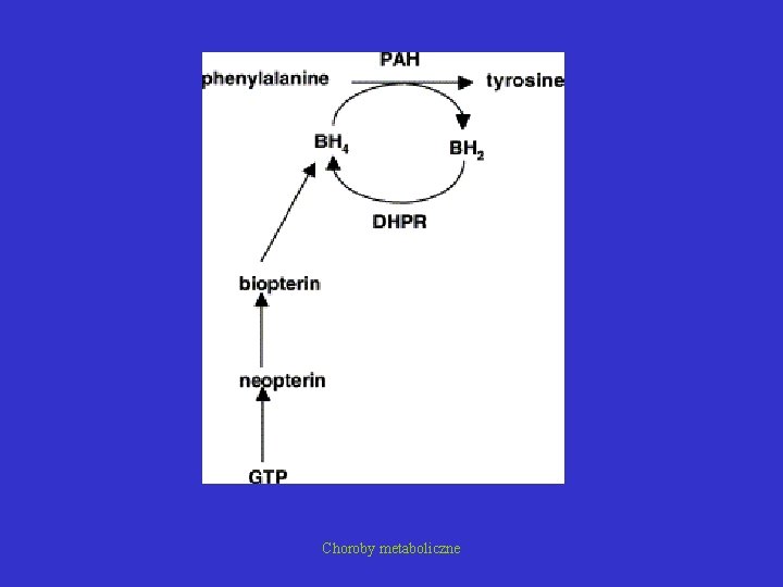 Choroby metaboliczne 