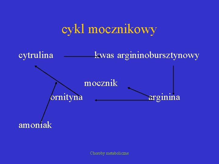 cykl mocznikowy cytrulina kwas argininobursztynowy mocznik ornityna arginina amoniak Choroby metaboliczne 