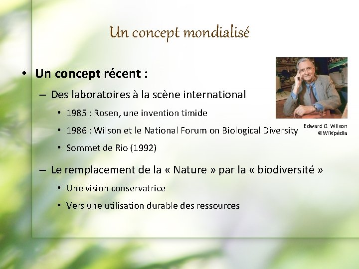 Un concept mondialisé • Un concept récent : – Des laboratoires à la scène