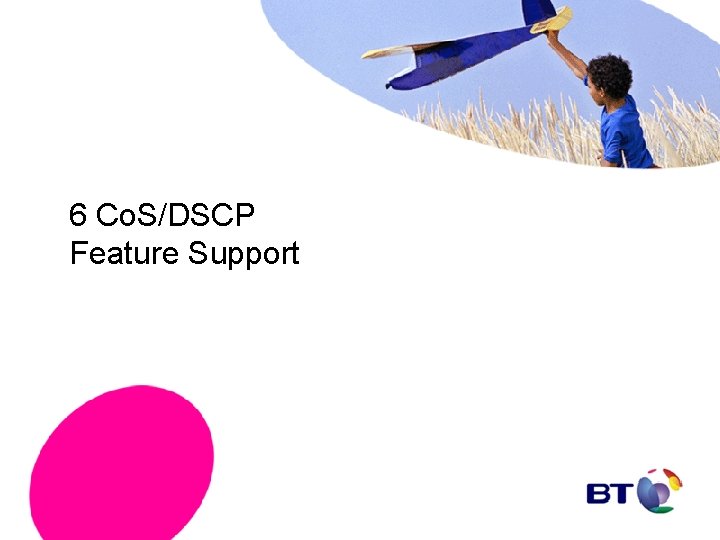 6 Co. S/DSCP Feature Support 