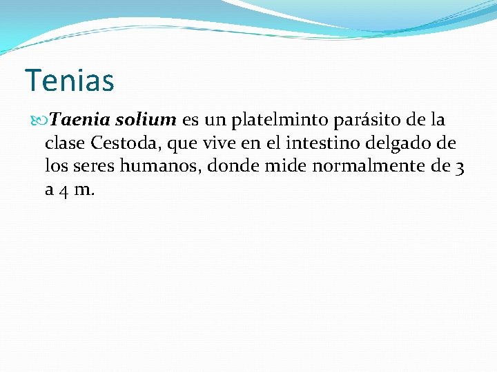 Tenias Taenia solium es un platelminto parásito de la clase Cestoda, que vive en