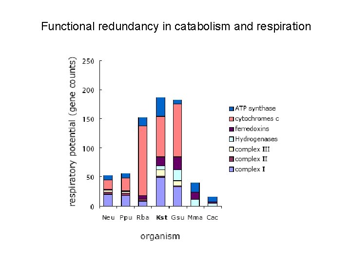 Functional redundancy in catabolism and respiration 