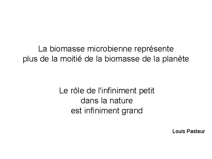 La biomasse microbienne représente plus de la moitié de la biomasse de la planète