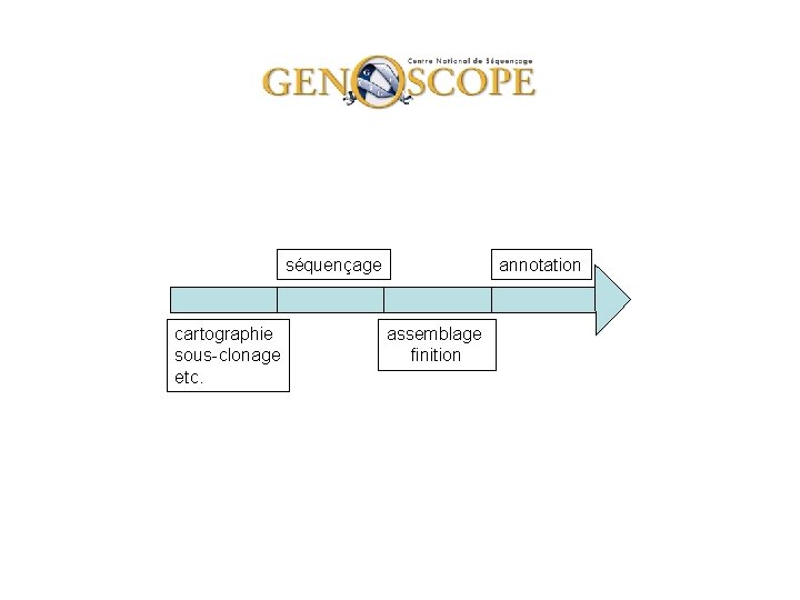 séquençage cartographie sous-clonage etc. annotation assemblage finition 