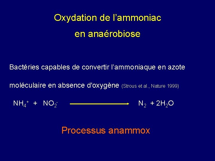 Oxydation de l’ammoniac en anaérobiose Bactéries capables de convertir l’ammoniaque en azote moléculaire en