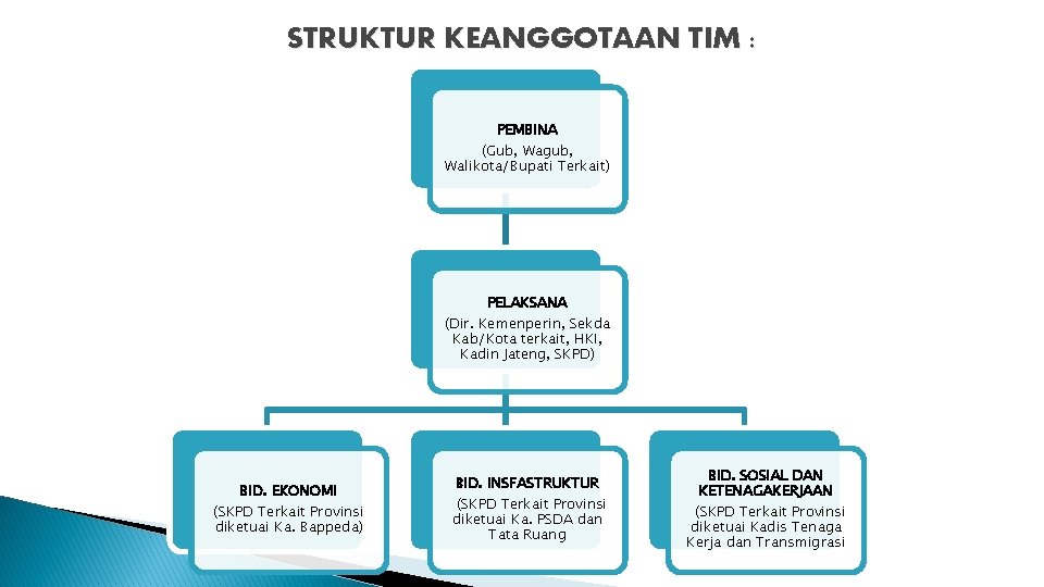 STRUKTUR KEANGGOTAAN TIM : PEMBINA (Gub, Wagub, Walikota/Bupati Terkait) PELAKSANA (Dir. Kemenperin, Sekda Kab/Kota