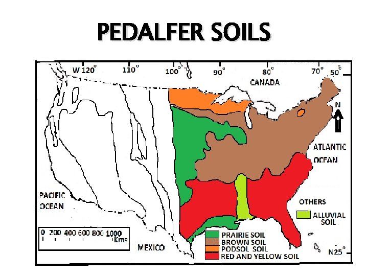 PEDALFER SOILS 