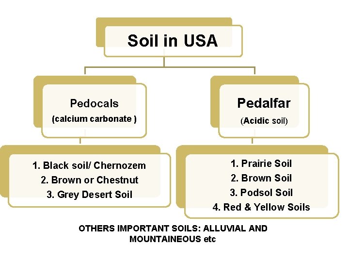 Soil in USA Pedocals Pedalfar (calcium carbonate ) (Acidic soil) 1. Black soil/ Chernozem