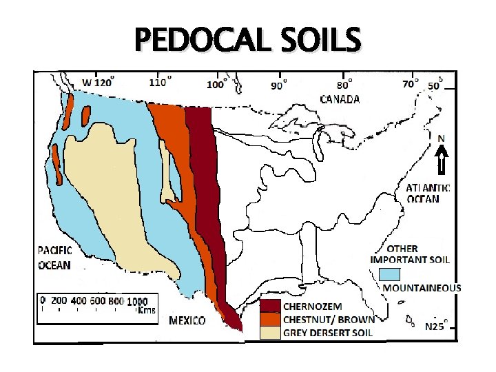 PEDOCAL SOILS 