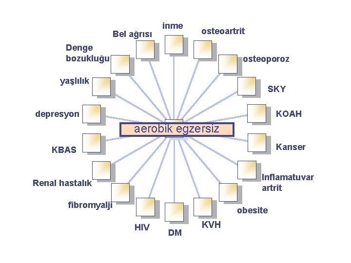Bel ağrısı inme osteoartrit Denge bozukluğu osteoporoz yaşlılık SKY depresyon KOAH aerobik egzersiz KBAS