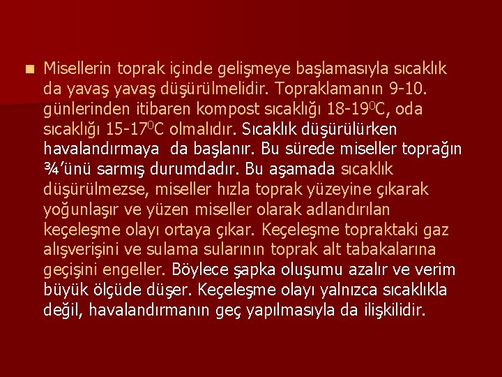 n Misellerin toprak içinde gelişmeye başlamasıyla sıcaklık da yavaş düşürülmelidir. Topraklamanın 9 -10. günlerinden