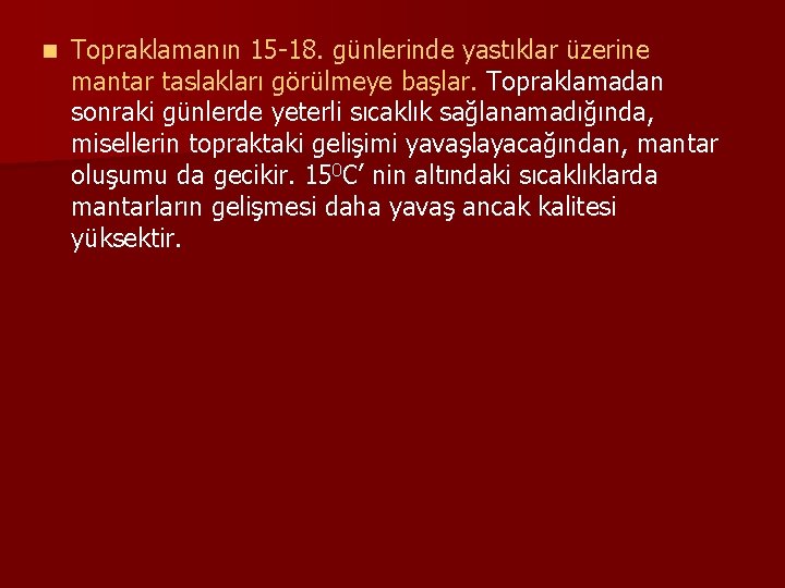 n Topraklamanın 15 -18. günlerinde yastıklar üzerine mantar taslakları görülmeye başlar. Topraklamadan sonraki günlerde