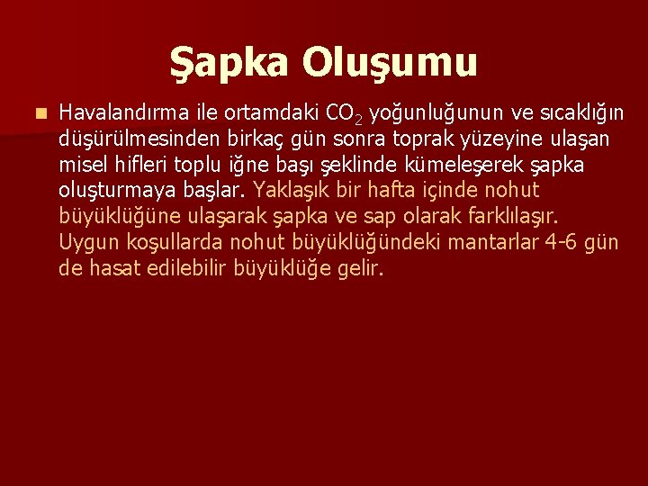 Şapka Oluşumu n Havalandırma ile ortamdaki CO 2 yoğunluğunun ve sıcaklığın düşürülmesinden birkaç gün