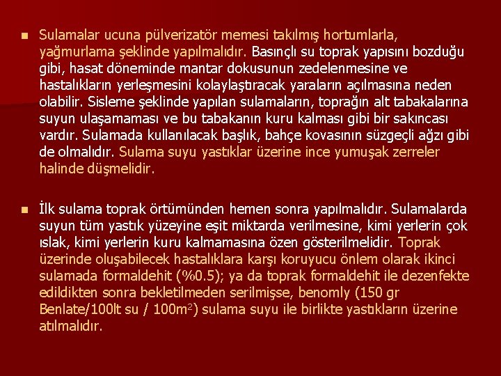 n Sulamalar ucuna pülverizatör memesi takılmış hortumlarla, yağmurlama şeklinde yapılmalıdır. Basınçlı su toprak yapısını