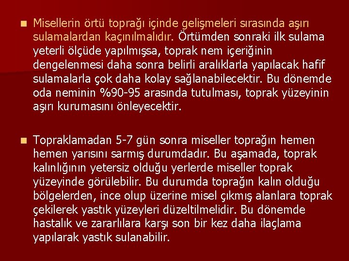 n Misellerin örtü toprağı içinde gelişmeleri sırasında aşırı sulamalardan kaçınılmalıdır. Örtümden sonraki ilk sulama