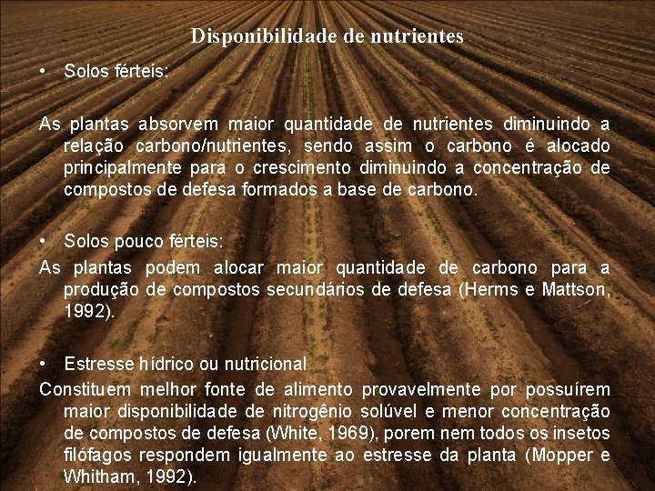 Disponibilidade de nutrientes • Solos férteis: As plantas absorvem maior quantidade de nutrientes diminuindo