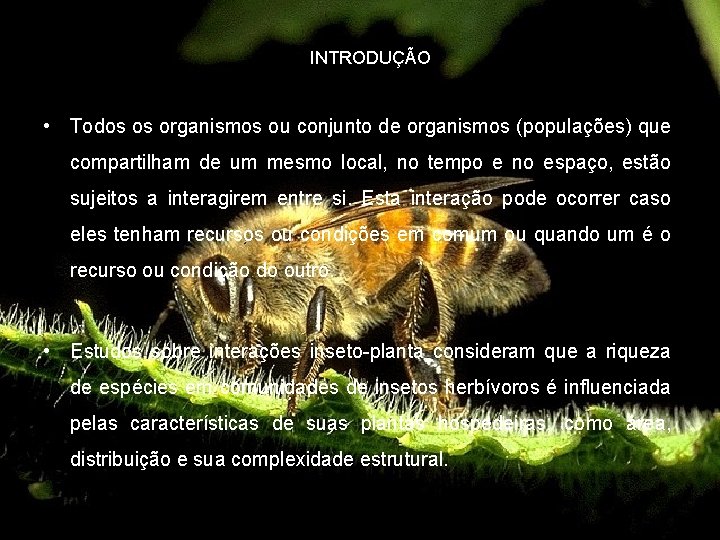 INTRODUÇÃO • Todos os organismos ou conjunto de organismos (populações) que compartilham de um