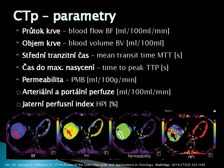 CTp – parametry Průtok krve - blood flow BF [ml/100 ml/min] Objem krve –