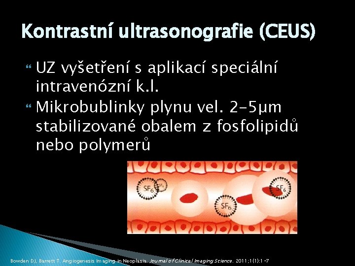 Kontrastní ultrasonografie (CEUS) UZ vyšetření s aplikací speciální intravenózní k. l. Mikrobublinky plynu vel.