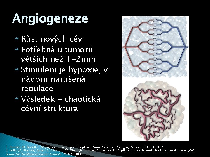 Angiogeneze Růst nových cév Potřebná u tumorů větších než 1 -2 mm Stimulem je