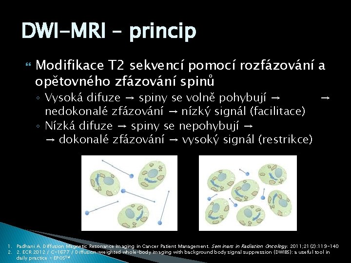 DWI-MRI – princip Modifikace T 2 sekvencí pomocí rozfázování a opětovného zfázování spinů ◦