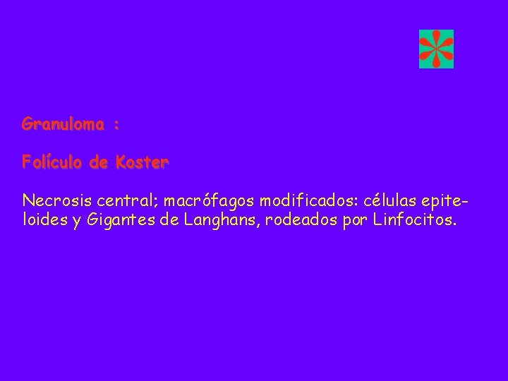 Granuloma : Folículo de Koster Necrosis central; macrófagos modificados: células epiteloides y Gigantes de