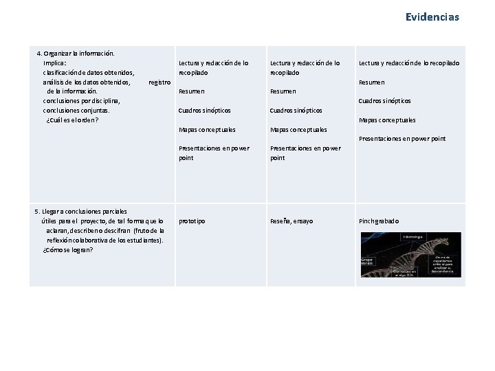 Evidencias 4. Organizar la información. Implica: clasificación de datos obtenidos, análisis de los datos