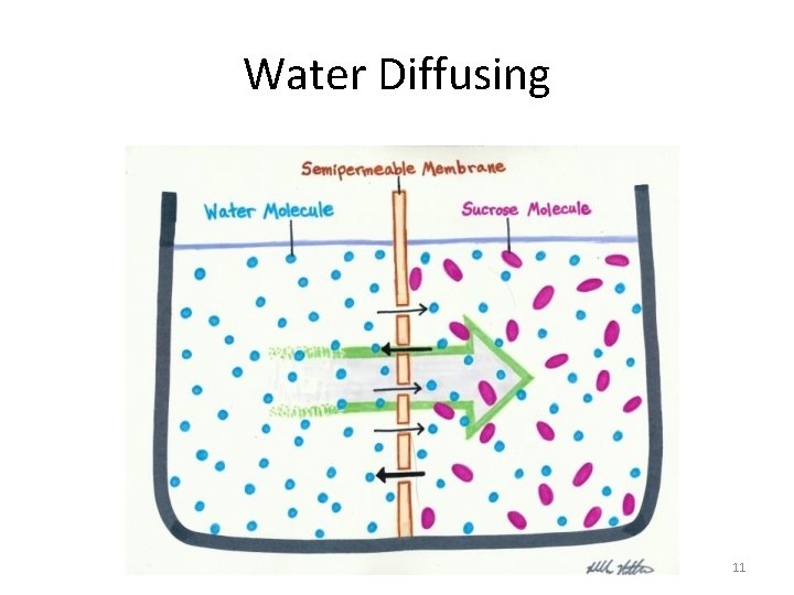 Water Diffusing 11 