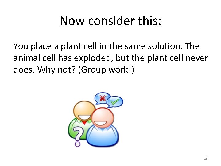 Now consider this: You place a plant cell in the same solution. The animal