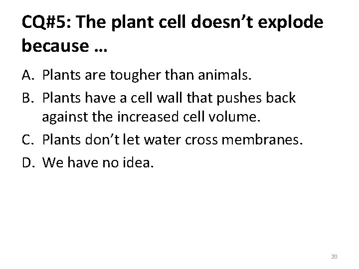 CQ#5: The plant cell doesn’t explode because … A. Plants are tougher than animals.