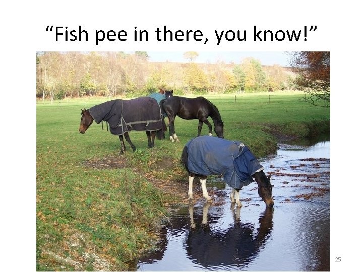 “Fish pee in there, you know!” 25 
