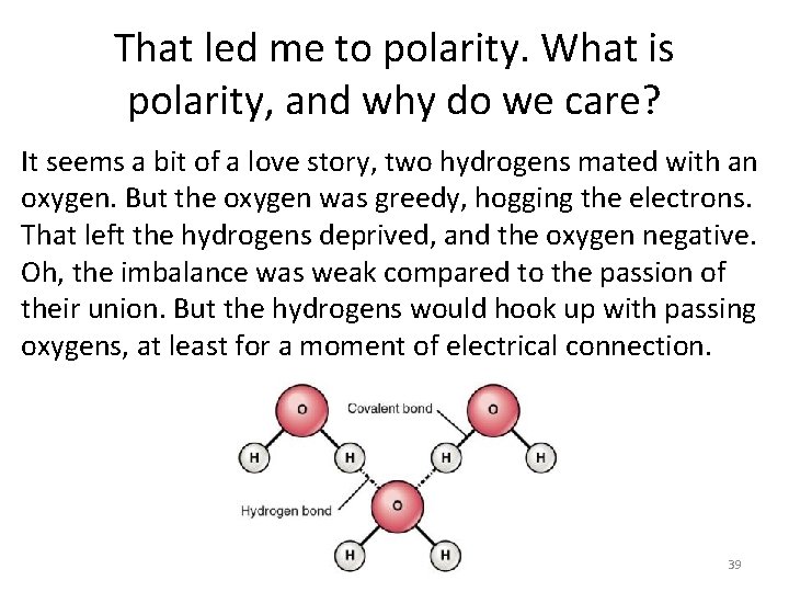 That led me to polarity. What is polarity, and why do we care? It