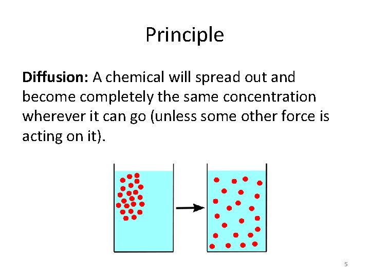 Principle Diffusion: A chemical will spread out and become completely the same concentration wherever