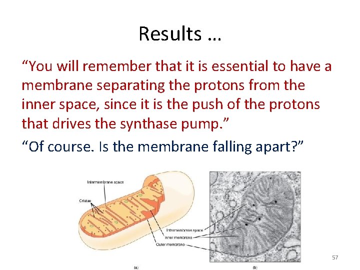 Results … “You will remember that it is essential to have a membrane separating