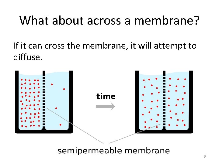 What about across a membrane? If it can cross the membrane, it will attempt