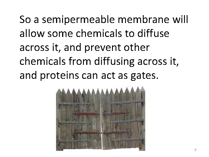 So a semipermeable membrane will allow some chemicals to diffuse across it, and prevent