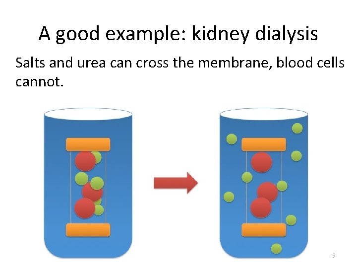 A good example: kidney dialysis Salts and urea can cross the membrane, blood cells