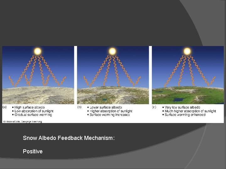 Snow Albedo Feedback Mechanism: Positive 