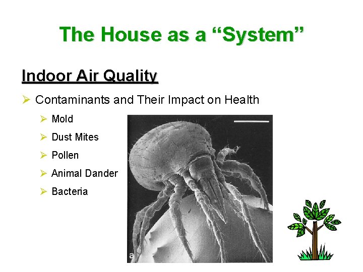 The House as a “System” Indoor Air Quality Ø Contaminants and Their Impact on