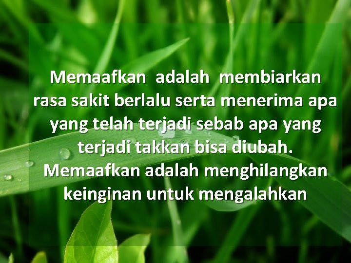 Memaafkan adalah membiarkan rasa sakit berlalu serta menerima apa yang telah terjadi sebab apa